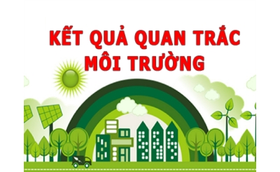 BÁO CÁO QUAN TRẮC MÔI TRƯỜNG TẠI XÍ NGHIỆP CBHS THUỘC CÔNG TY CP THỦY SẢN VÀ XNK CÔN ĐẢO - COIMEX QUÝ II NĂM 2025
